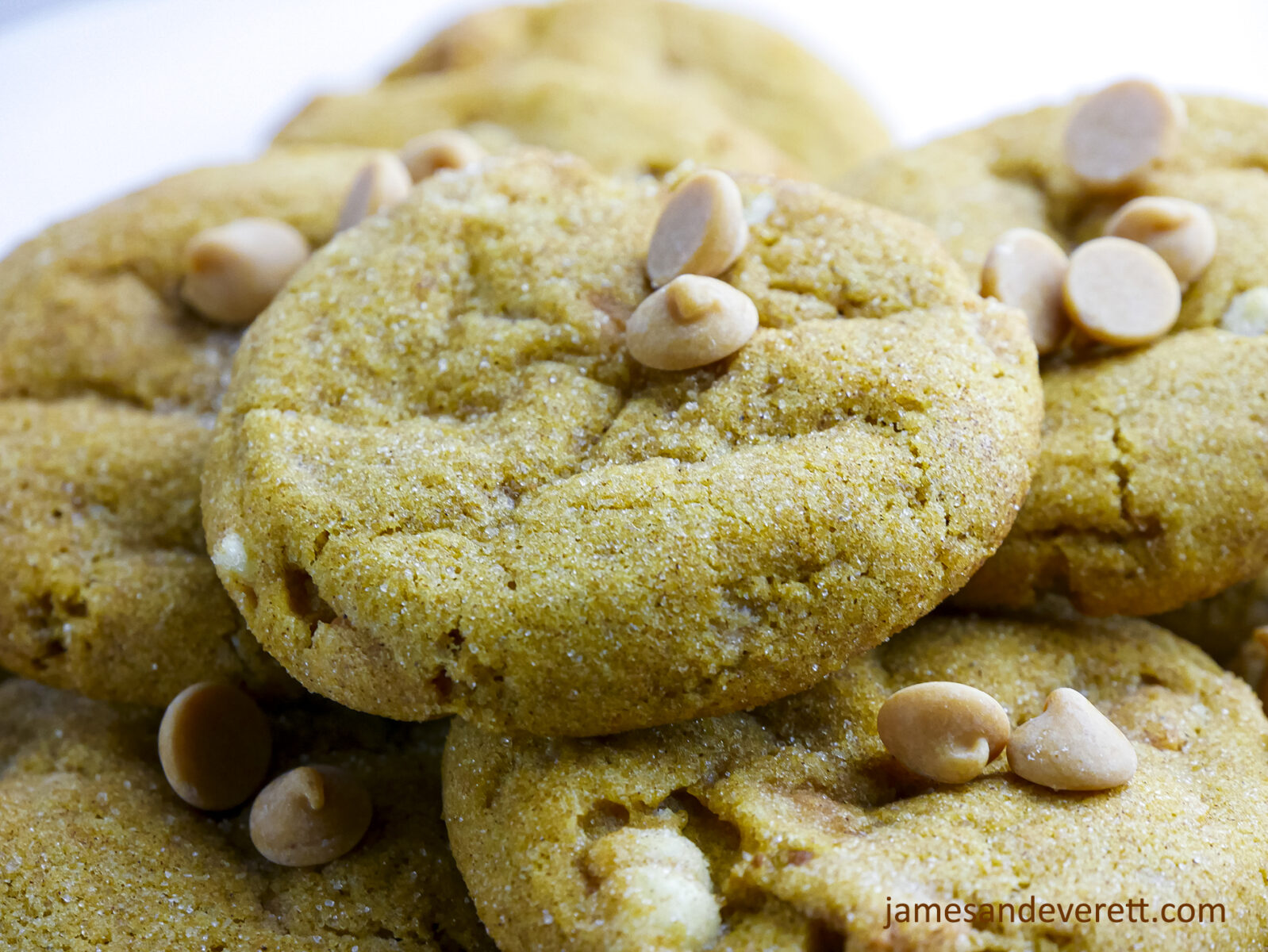 Pumpkin Snickerdoodles with Butterscotch Chips